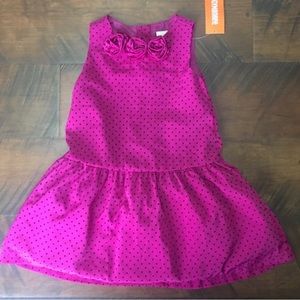 NWT Gymboree Dress